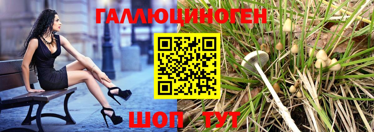 Псилоцибиновые грибы мухоморы Ижевск