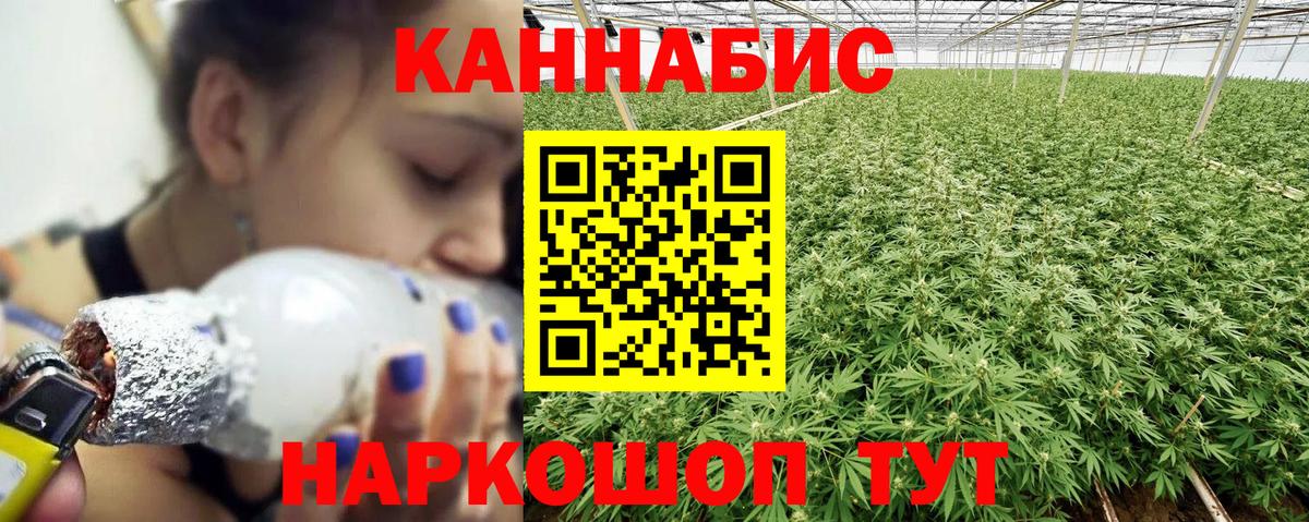 Марихуана сатива  Конопля план  Вход с VPN  Конопля ГИДРОПОН  Ижевск 